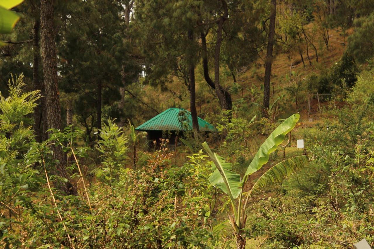 Heal Farm - Himalayan Eco Alternative Lifestyle For Agriculture Recreation And Meditation Nainital Εξωτερικό φωτογραφία