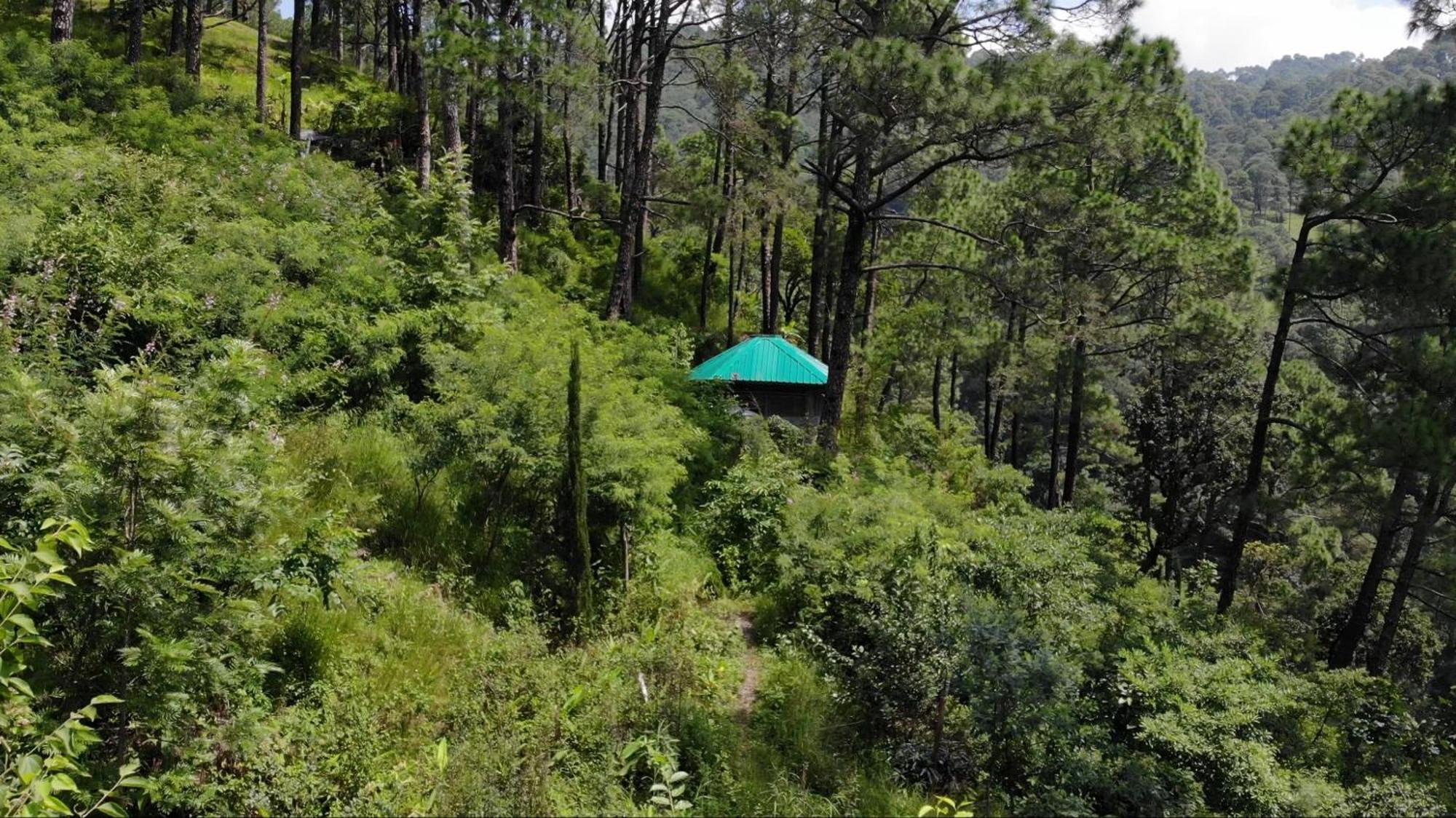 Heal Farm - Himalayan Eco Alternative Lifestyle For Agriculture Recreation And Meditation Nainital Εξωτερικό φωτογραφία