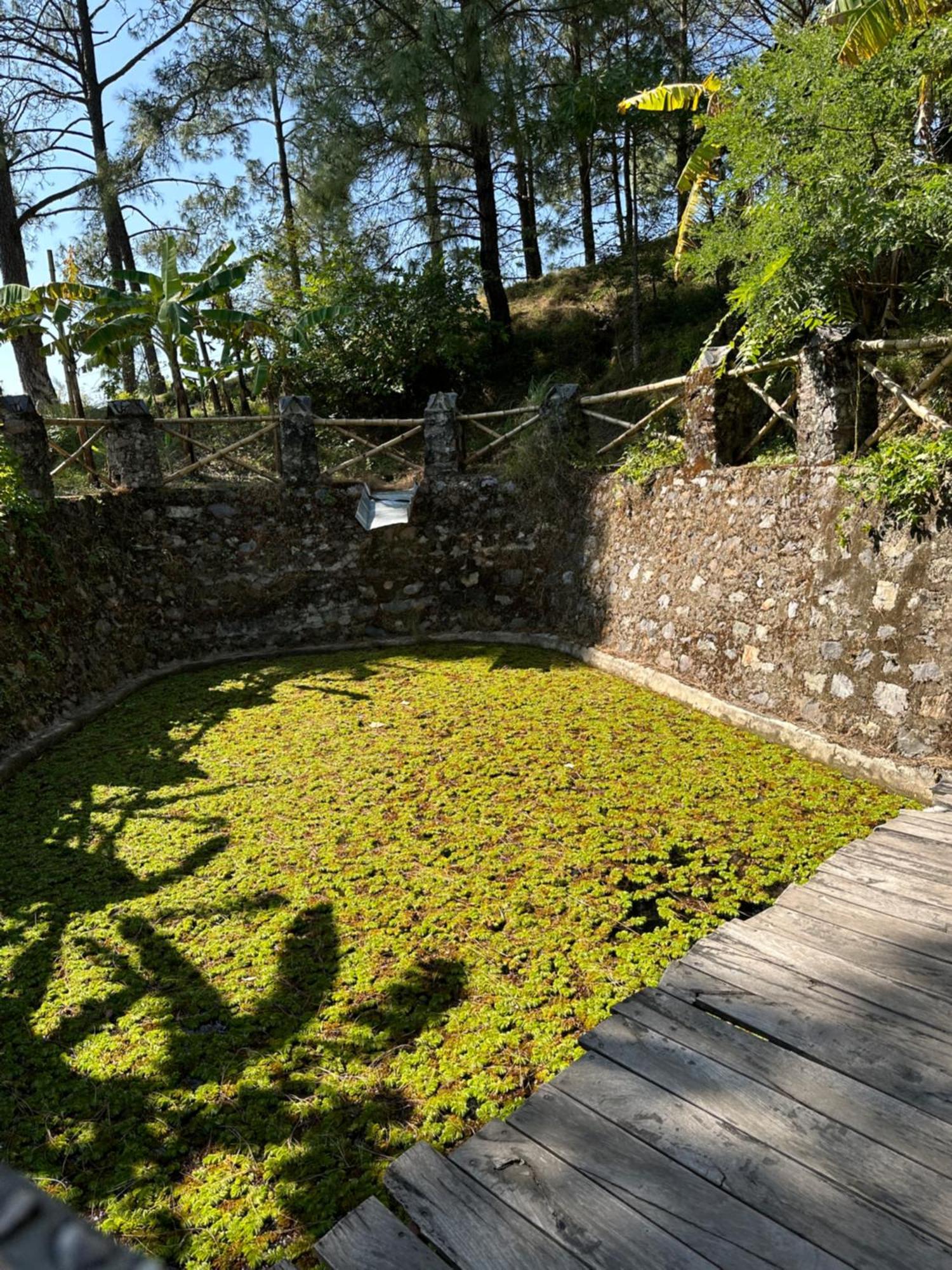Heal Farm - Himalayan Eco Alternative Lifestyle For Agriculture Recreation And Meditation Nainital Εξωτερικό φωτογραφία